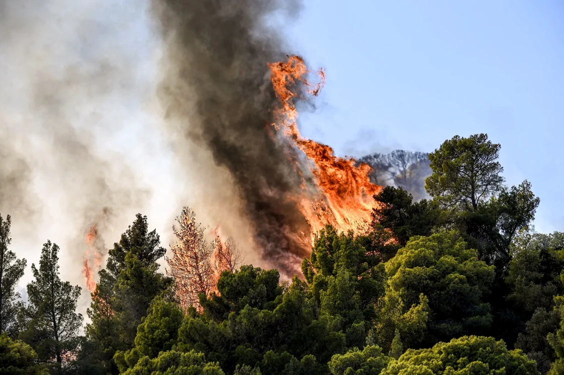 Incendii de vegetație în Grecia - FOTO Getty Images