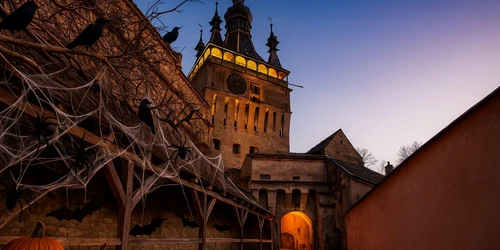 PHOTO 2025 10 30 11 29 33 (2) jpg