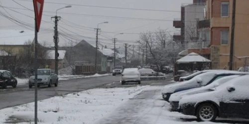 În aşteptarea primăvarii