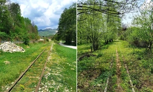 Traseul mocăniței de pe Valea Bistriței din Oltenia de sub Munte Foto Florin Stoican facebook 