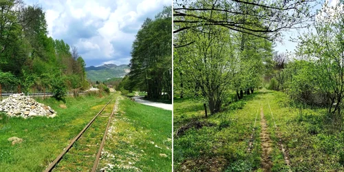 Traseul mocăniței de pe Valea Bistriței din Oltenia de sub Munte Foto Florin Stoican facebook 