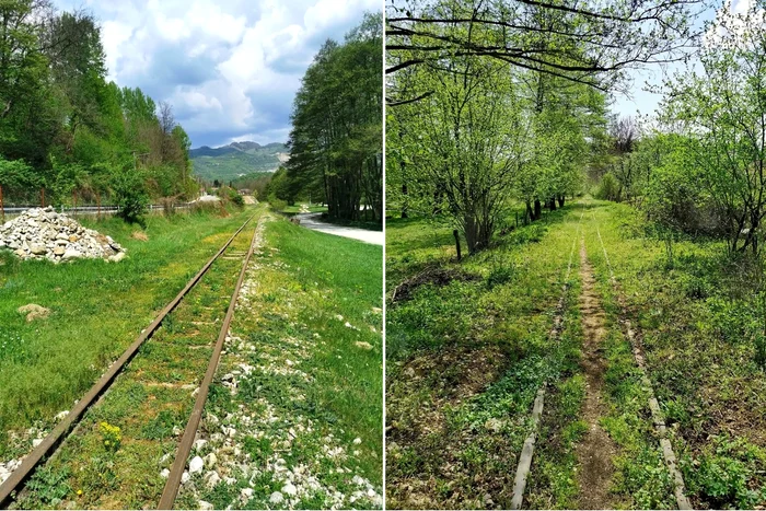 Traseul mocăniței de pe Valea Bistriței din Oltenia de sub Munte Foto Florin Stoican facebook