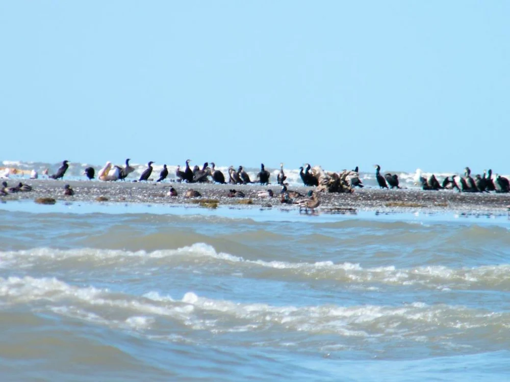 turism delta dunarii