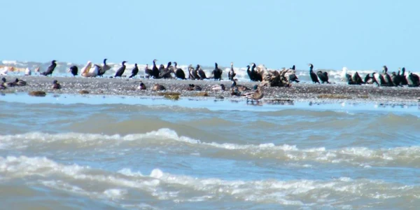 turism delta dunarii