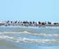 turism delta dunarii