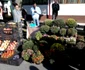 Târg săptămânal de produse tradiţionale