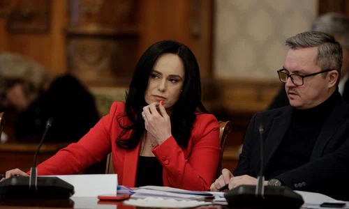 Comisiile de specialitate din Parlament dezbat și votează amendamentele la Legea bugetului de stat pe anul 2024. FOTO Inquam Photos / George Călin