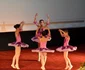 DSC 6147 JPGGala Performanței în Educația Târgovișteană. FOTO C.S.