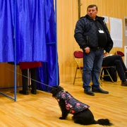 Alegeri Primăria Capitalei FOTO Mediafax