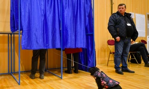 Alegeri Primăria Capitalei FOTO Mediafax