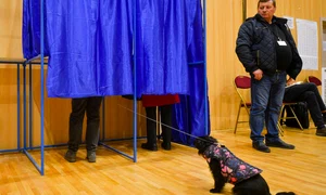 Alegeri Primăria Capitalei FOTO Mediafax
