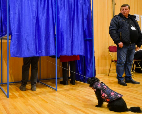 Alegeri Primăria Capitalei FOTO Mediafax