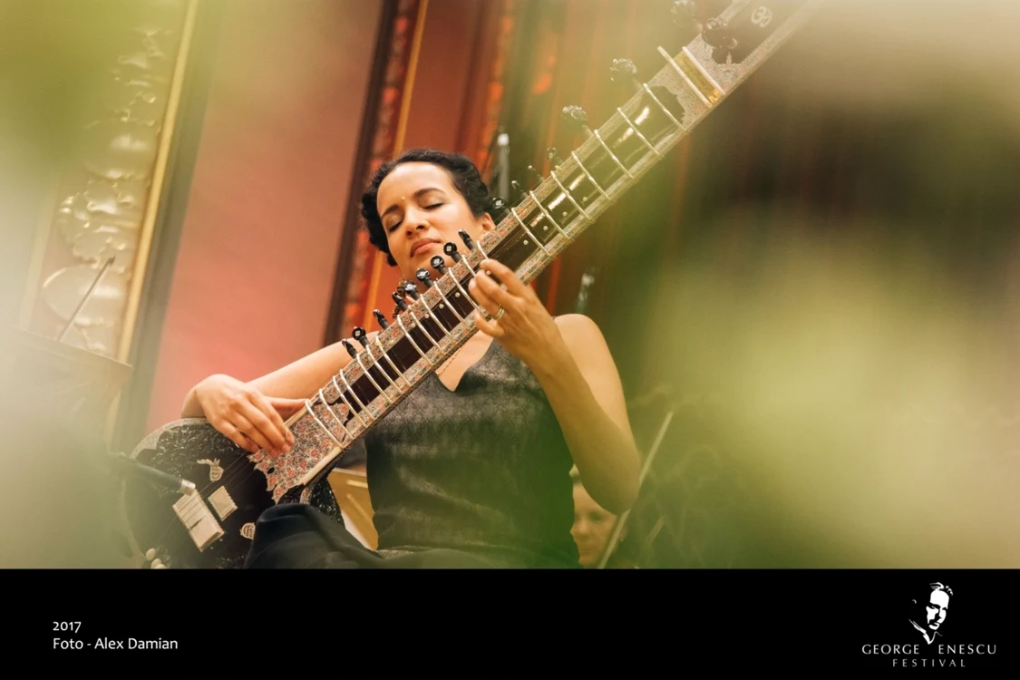 sitar