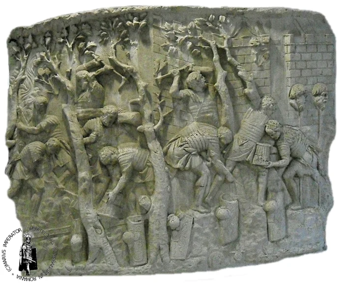 Pasajul Latin 5