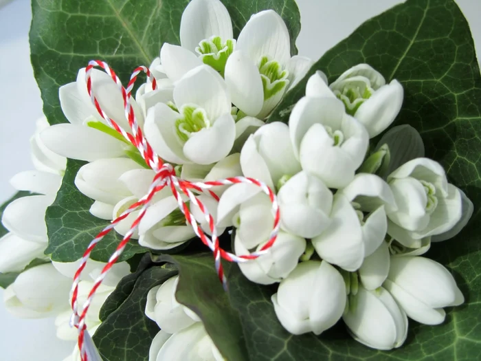 
    Vreme caldă şi plăcută la începutul lunii martie  