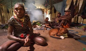 tribul korowai papua noua guinees youtube jpg