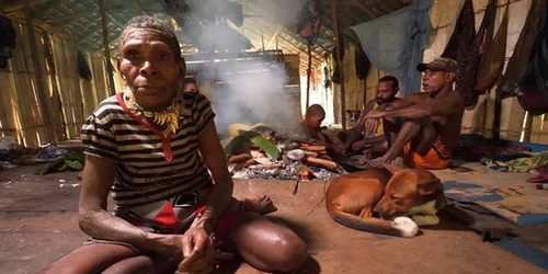 tribul korowai papua noua guinees youtube jpg