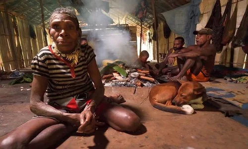 tribul korowai papua noua guinees youtube jpg