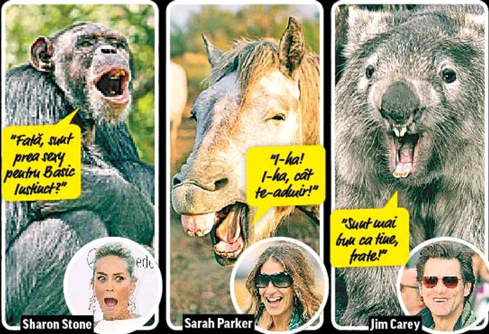 “Guiţ, vreau să joc în Războiul stelelor!” (Fotografii: Photoland/caters/guliver/splashnews)