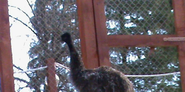 zoo resita