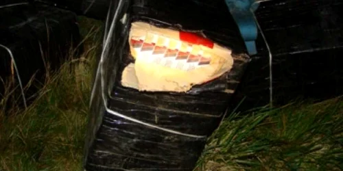 Satu Mare: Opt contrabandişti ucraineni au fost reţinuti cu focuri de armă la Moişeni