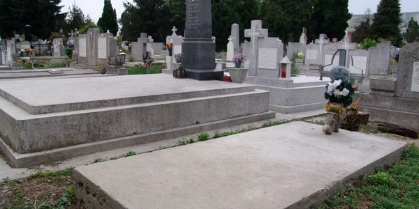 Mormântul lui Trifu Schroth