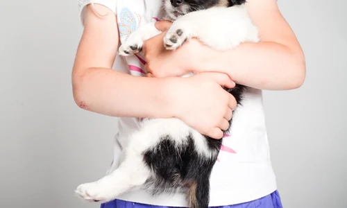 fetita cu catel shutterstock 57449623 jpeg