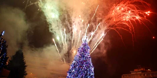 brad craciun baia mare