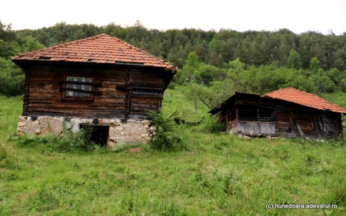ponorici hunedoara foto daniel guta adevarul