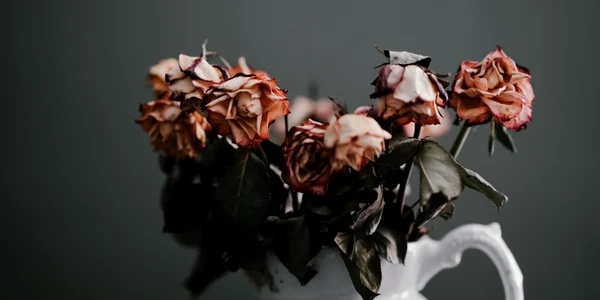 foto unsplash com jpeg