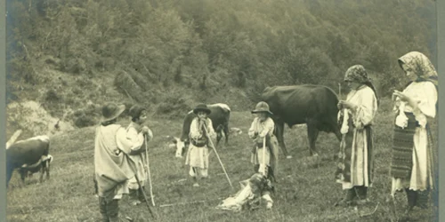 Hunedoara imagini adler