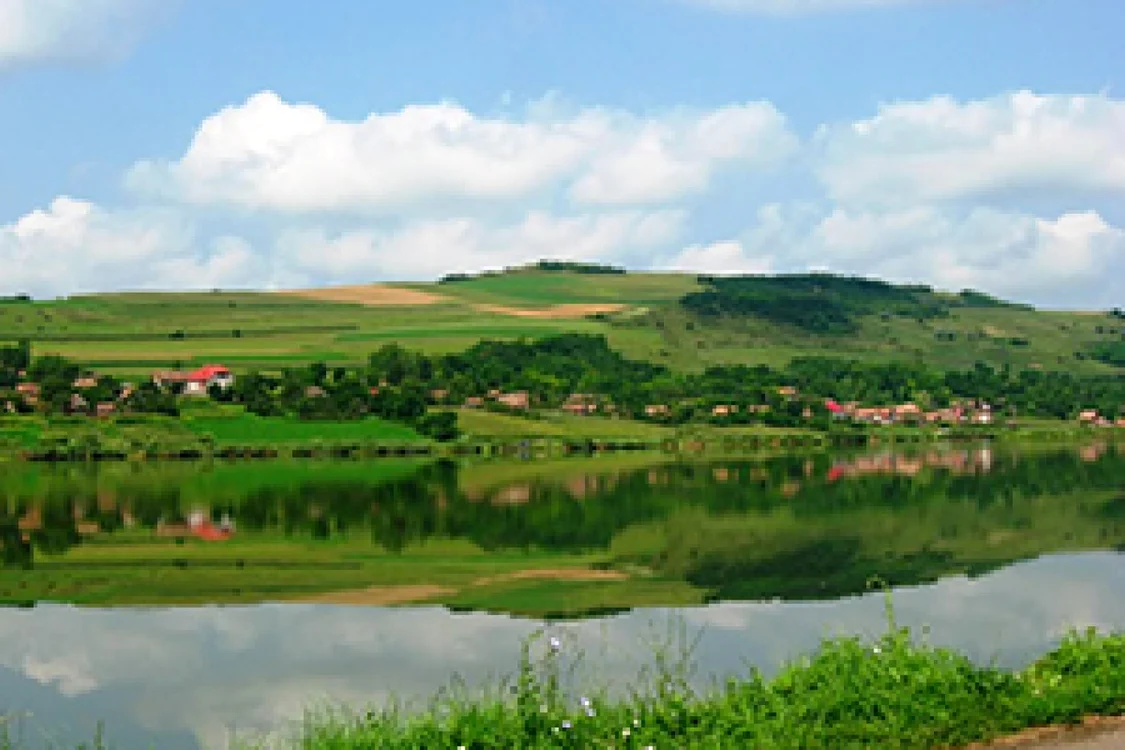 taureni