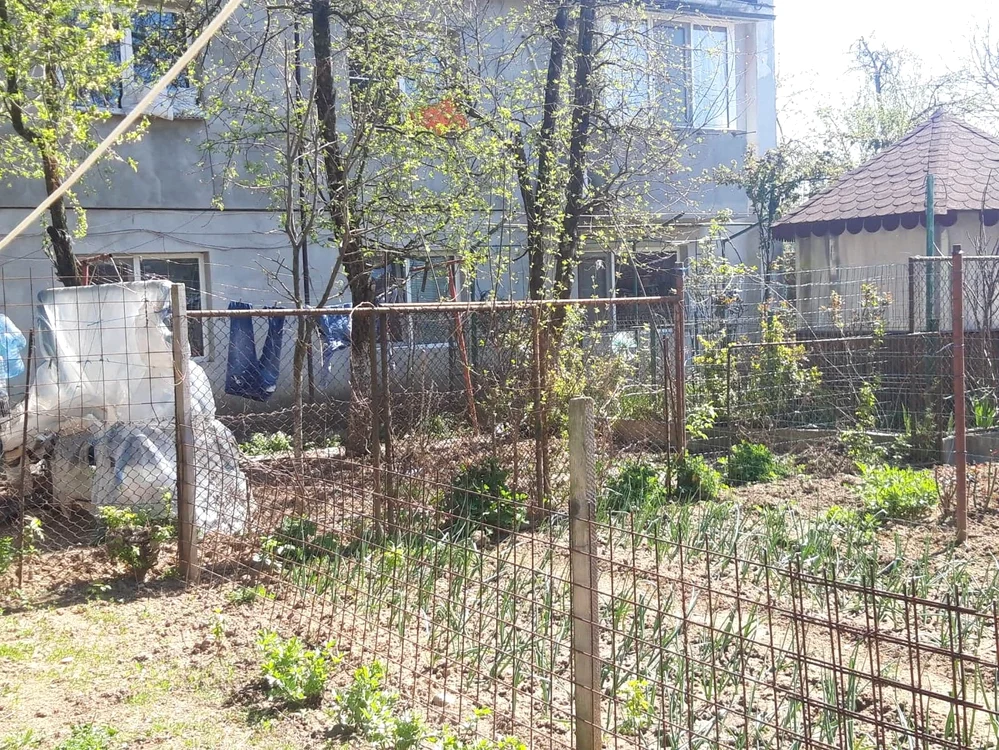 Căsuța lui Octavian Ursulescu este înconjurată de blocuri, dar se află într-un cartier liniștit