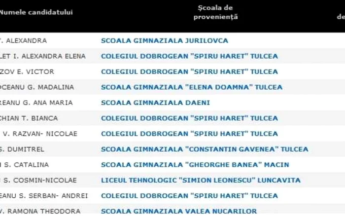 Primii zece elevi din Tulcea FOTO admitere.edu.ro