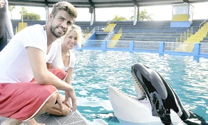 Shakira (fotografii: guliver) jpeg