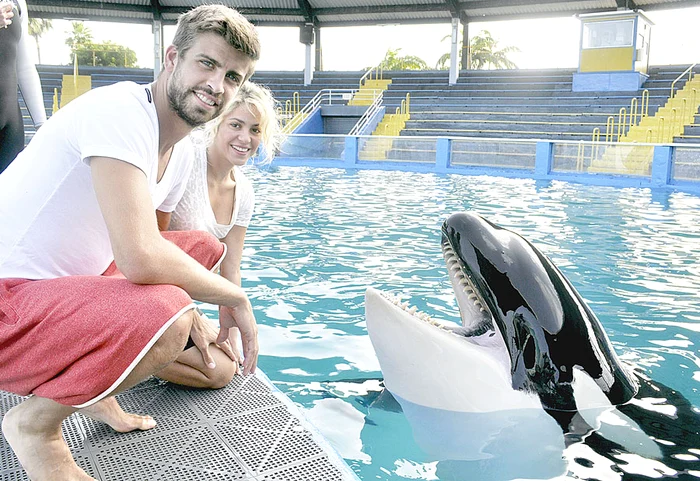 Shakira (fotografii: guliver)