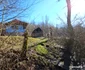 Satul Dănulești din Hunedoara Foto Daniel Guță ADEVĂRUL (35) jpg