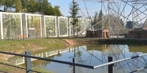 Lacul de la Zoo va fi reamenajat
