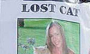 Motanul  Mr  Geoff era cel  mai fericit în  braţele stăpânei  lui, Clare Greenhill jpeg