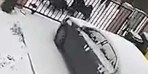 5fd0d39f5163ec4271b8a1ed jpg