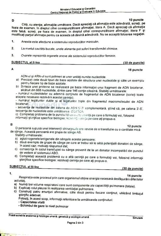 anatomie 2 jpg