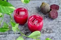 suc de sfecla   shutterstock 1906790257 jpg