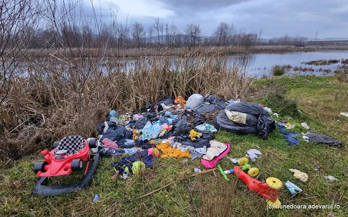 Gunoaie pe malul râului Strei, la Bretea Română. Foto: Daniel Guță. ADEVĂRUL