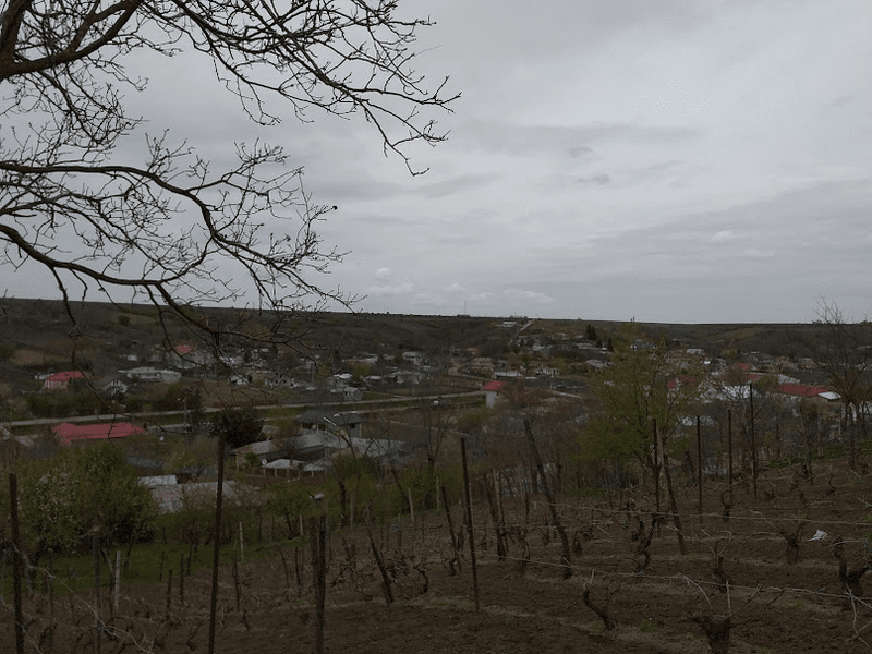 Satul românesc, singur și bătrân. Înmormântări multe și tot mai puține nașteri și nunți 