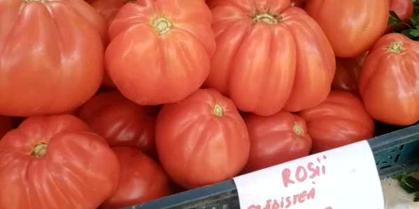 calarasi rosii