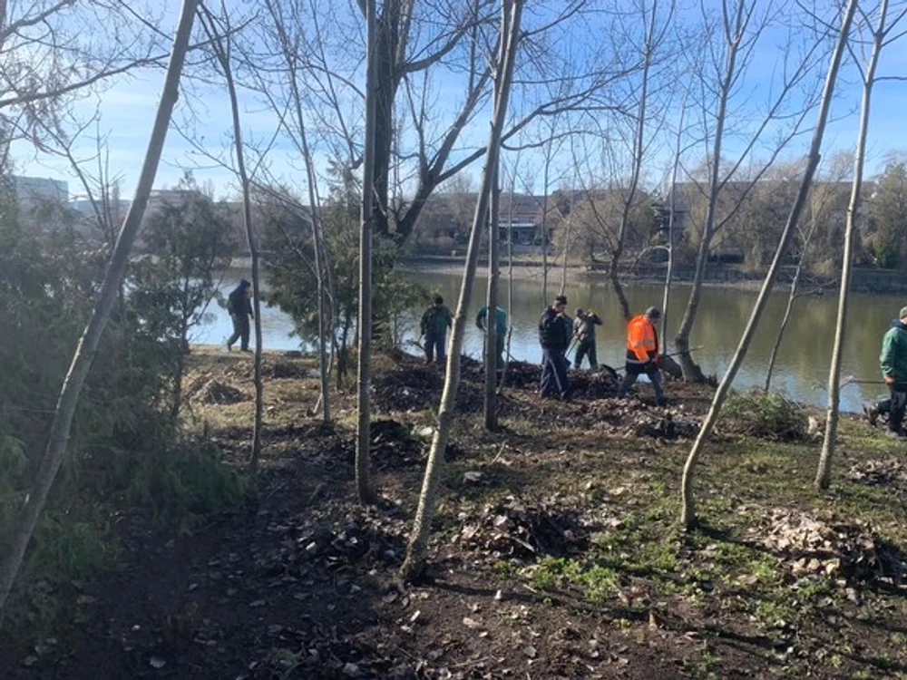 
    Pe malul Lacului Băneasa au fost montate bănci  