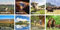 Destinații de ecoturism în România de poveste Colaj Eco turism ro jpg