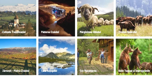 Destinații de ecoturism în România de poveste Colaj Eco turism ro jpg