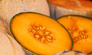 melon 3433835 1280 jpg