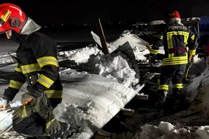 Zeci de animale au murit după ce au fost prinse sub zăpadă FOTO ISU Prahova